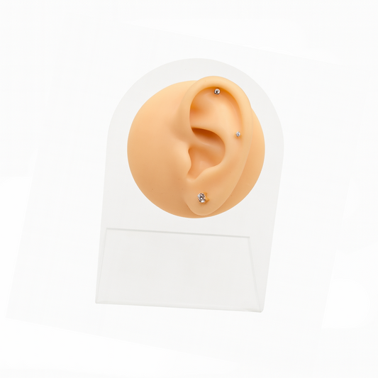 Pierced 귀 모형 스탠드